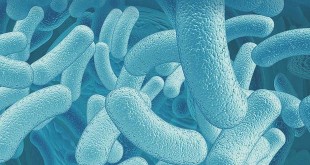 probióticos y la Enfermedad de Crohn