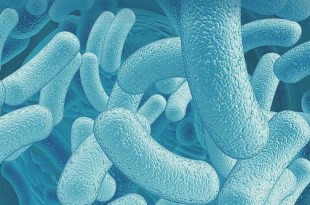 probióticos y la Enfermedad de Crohn