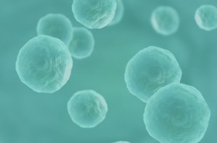 Células Madre y Enfermedad de Crohn